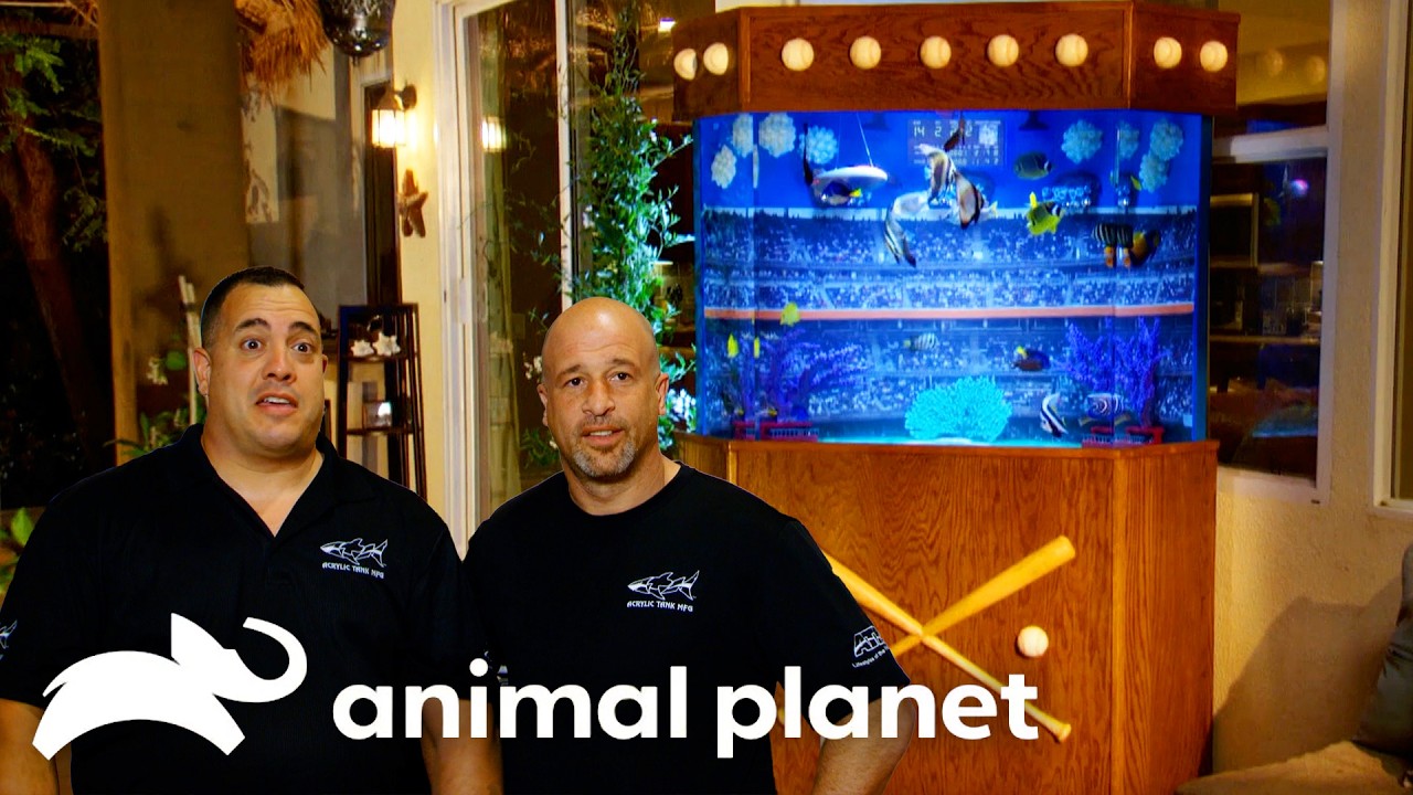 Pete Rose Gets a Baseball Stadium in his Backyard! | Tanked | Animal Planet