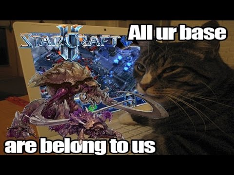 CRAZY ZERG FULL MAP OWNAGE - STARCRAFT 2 HD GAMEPLAY