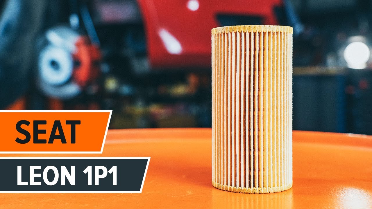 Kaip pakeisti Seat Leon 1P1 variklio alyvos ir alyvos filtra - keitimo instrukcija