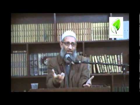 مجلس الفتاوى 1