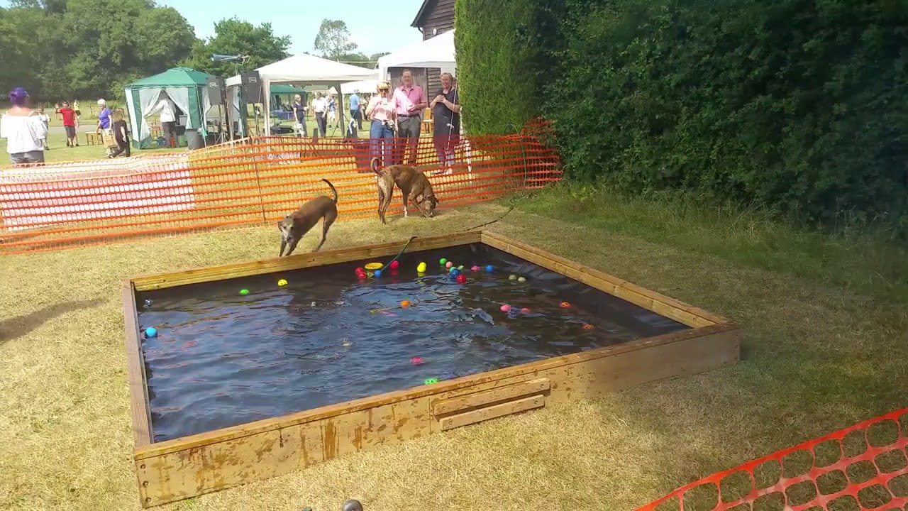 Tigs & Tilly mucking about at the end of a long day fundrasising for KGR.