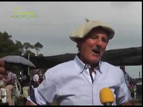 CRIOLLAS 1º MAYO EN COSTAS DE ARIAS