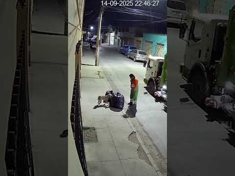 Perro pide ayuda a hombre para rescatar a cachorro en la basura