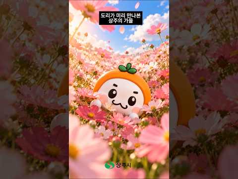 도리가 미리 만나본 상주의 가을