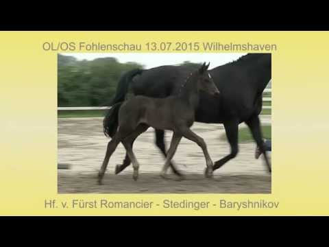 Hf v Fuerst Romancier x Stedinger