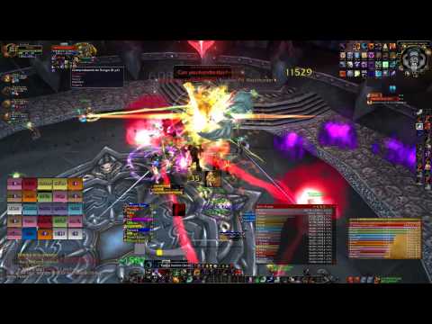 Feral Druid Dps PVE Blood Queen Lana'thel 25h