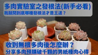 哪種發根法才是王道？空氣、水氣、潮土、乾土 我就問？｜收到無根多肉時怎麼辦？讓我這位預購破千顆的男紙來告訴你😂 |多肉植物|Suculentas| 다육이들＃渡夏 ＃多肉 ＃陽台黨