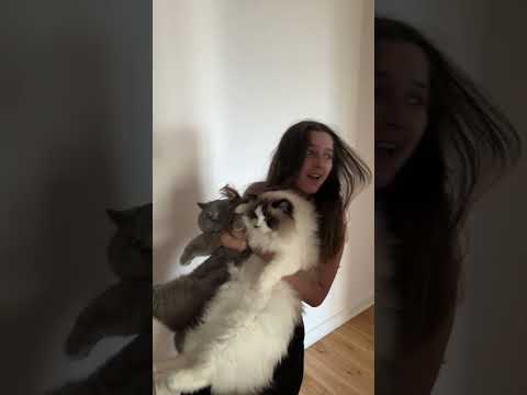 ❤️ GDY SIĘ PALI | Pusheen Girl #shorts