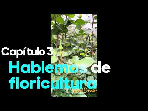 Charla de floricultura 1