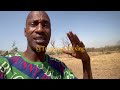 JT THE BIGGA FIGGA only one more check to send to creator of this video and my blessing done