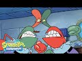 SpongeBob Plankton Verschmilzt Mit Mr Krabs Momente In Der Krossen Krabbe Schwammkopf