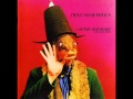 Captain Beefheart - She's Too Much For My Mirror