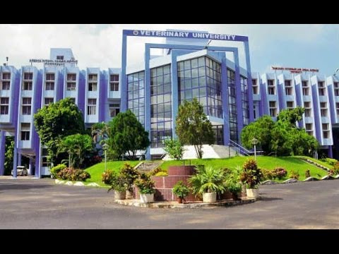 tamilnadu veterinary and animal sciences university in chennai tamilnadu veterinary and animal sciences university in chennai