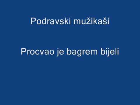 Podravski mužikaši - Procvao je bagrem bijeli