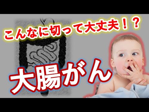 赤腸について詳しく解説