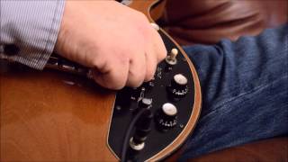 Video thumbnail for 1972 Gibson Les Paul Triumph Bass - Sounds by Tom Goode