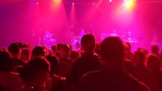 Surfin&#39; Cow - Dead Milkmen