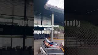 Another MSC cruise is needed 🛳️ #familyvlog #travel #cruise #msc #travelvlog