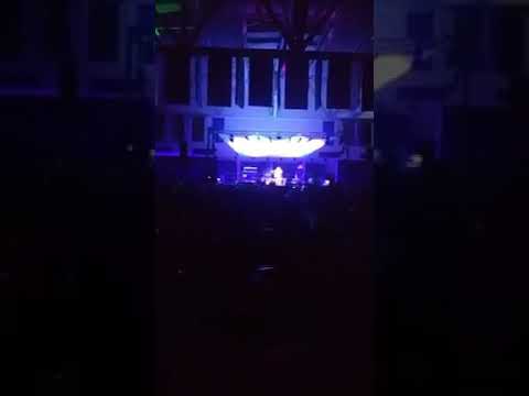 Promotional video thumbnail 2 for PoeticButterfly