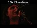 The Chameleons - Intrigue in Tangiers (live) 