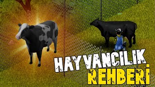 Hayvancılık Rehberi | Project Zomboid Türkçe
