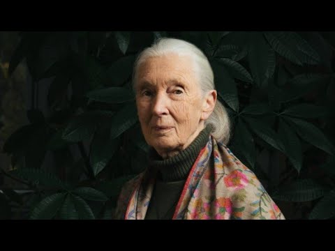 The story of Jane Goodall: Epitome of hope
