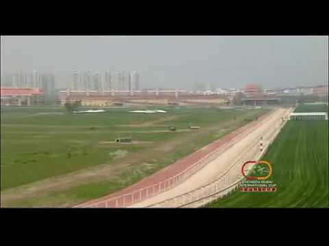2014 Chengdu Dubai International Cup 成都迪拜国际杯