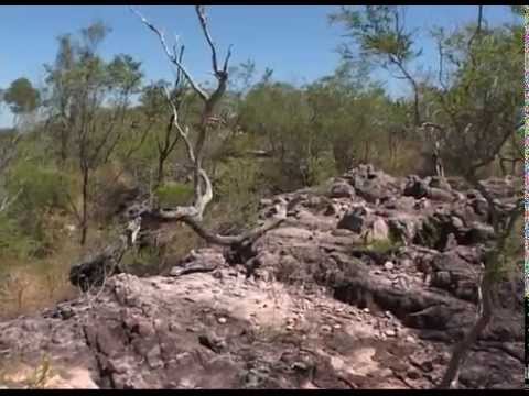 PREKO IVICE 31 - Australija