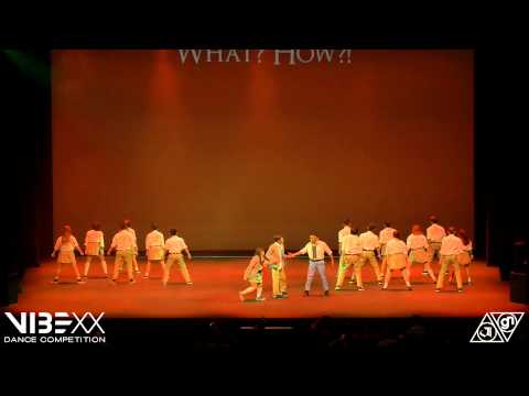 VIBE XX 2015 - Common Ground