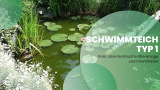Ganz ohne Technik - Schwimmteich Typ 1