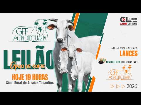 LEILÃO ESPECIAL DO PECUARISTA GFF AGROPECUÁRIA & LEILÕES | ARRAIAS - TO