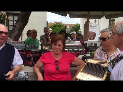 MERCADO A MODA ANTIGA OLIVEIRA DE AZEMÉIS 2017 ADILIA AROUCA & DOMINGOS SOALHEIRA