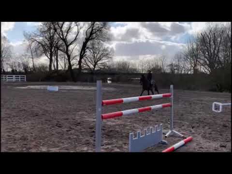 ELEGANTE 9j. v. Quintero - Limbus    VB 20.000,- Euro