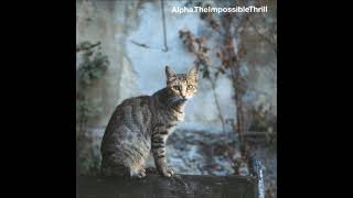 Alpha – "Almost There"