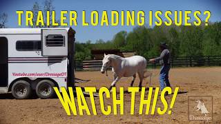 Teach your horse to SELF LOAD on the trailer!