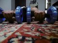 腕立て310回+アブローラー33回 310 Push ups+33 Ab wheel