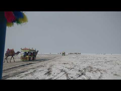 White Rann | Tent City | Camel Ride | Rann Utsav #rannutsav #kutch #whiterann #camelsafari