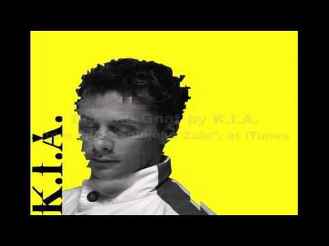 Box the Gnat by K.I.A. - Sample This - a cappella electronic square dance