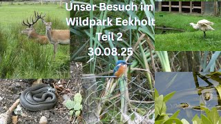 Unser Besuch im Wildpark Eekholt am 30.08.25 - Die Große Runde  - Teil