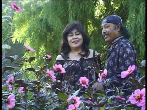 Sonya & Hengky Black Brothers - Micoma