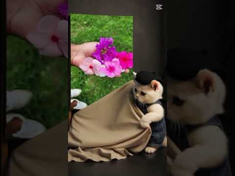 😺😺😺😺😺😺😺😺🥴