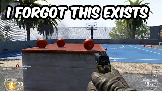 Shooting 3 Pointers on Raid in Black Ops 2 (COD Plutonium)