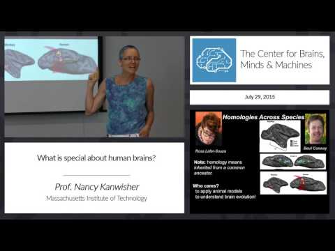 Prof. Nancy Kanwisher - What's special about human brains?