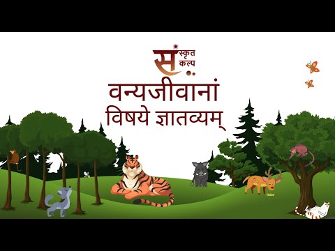 Animals Name in Sanskrit