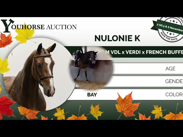 Nulonie under the saddle