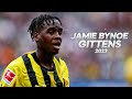 Jamie Bynoe-Gittens - Beast in the Making