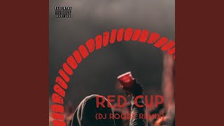 Red Cup - DJ Roody Remix Music Video