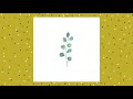 lilac - Honey & Lemon
