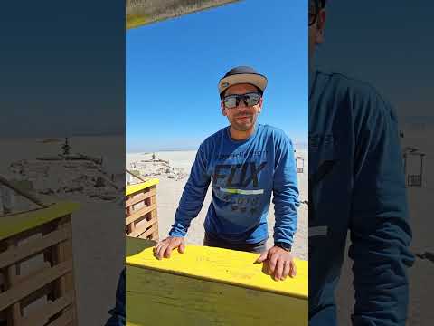 Bombay Beach Lemonade #funny