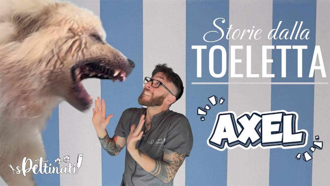 YOUTUBE · STORIE DALLA TOELETTATURA